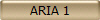 ARIA 1