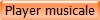 Player musicale